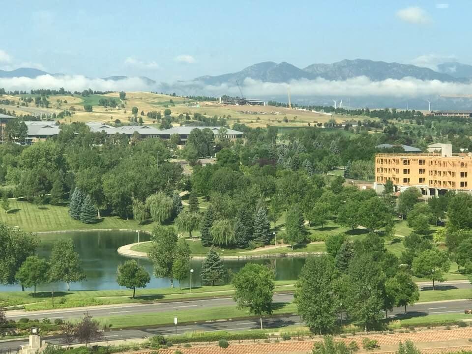 This morning out my window at work