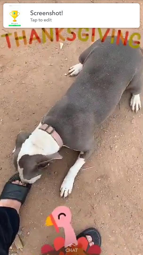 DOUGLAS SMITH's album, Mobile Uploads
