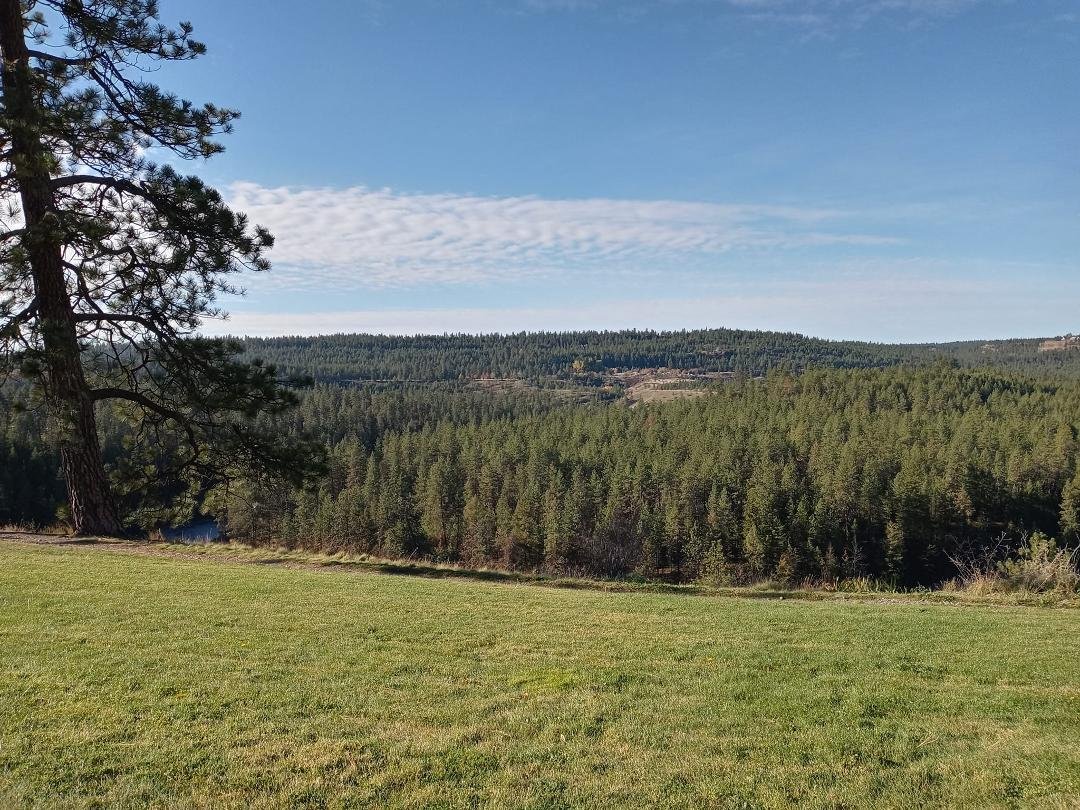 Stopped on the side of the road to a few pics of Spokane. This is on the way to the àirport.