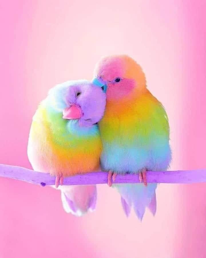 ❤ Happy Saturday !