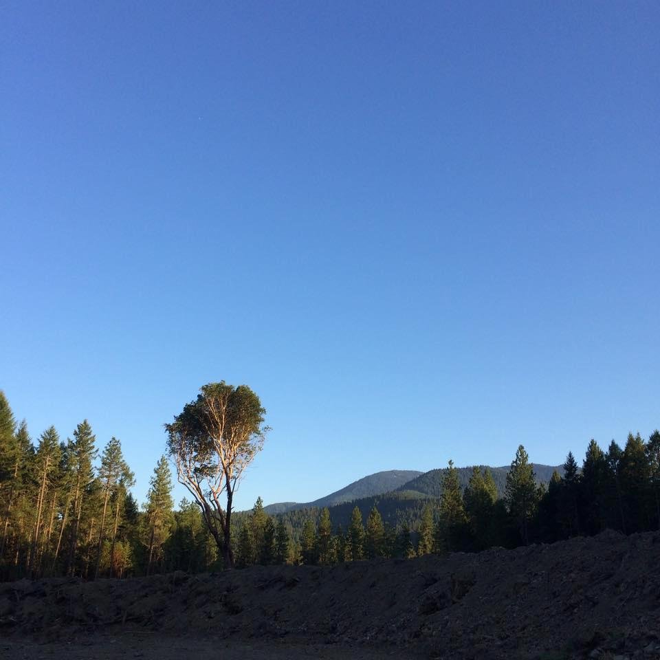 james Anglin's album, Mobile Uploads
