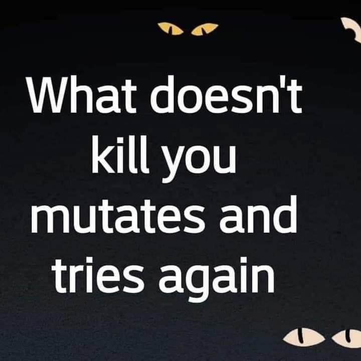 Alice Braddy's album, Timeline photos