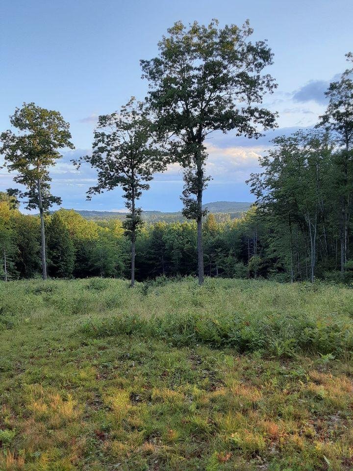 Earlier, getting dark now , have the trail cameras out. Time to relax and read a good book.