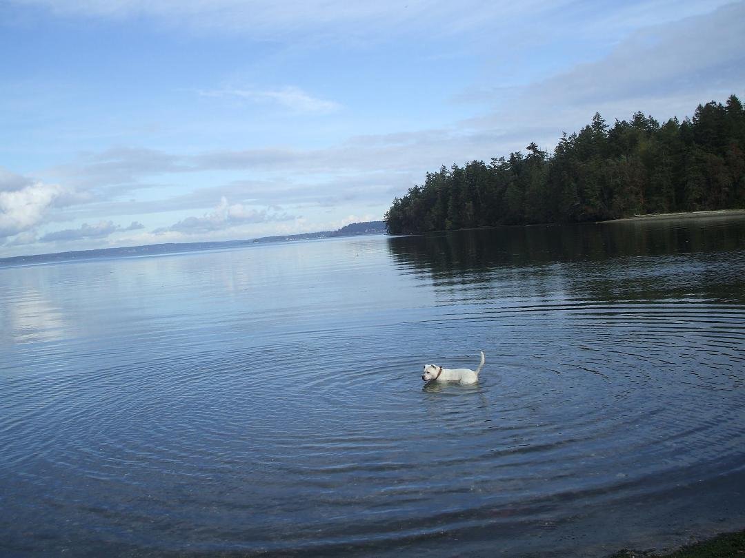Had to get out of the house after doing some yard. Took the kids and went up the street to Penrose State Park.