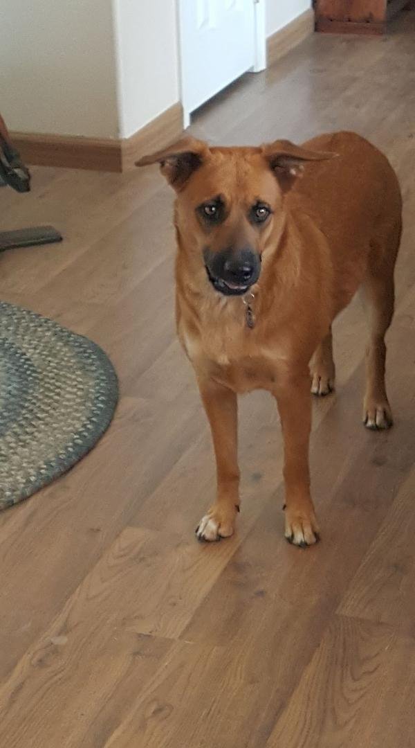See this innocent little girl, Tammy? Not so much. She ate George's hat. My man is so devastated. 😈