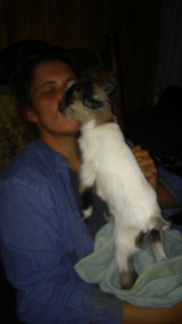Jamie Mitchell's album, Mobile Uploads