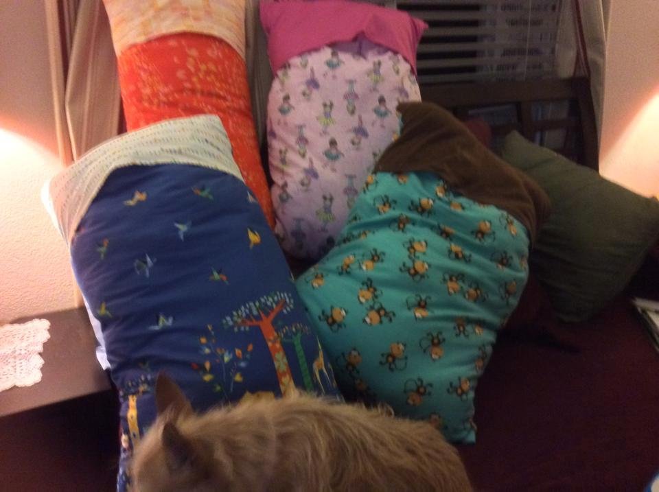 I made pillows for Christmas