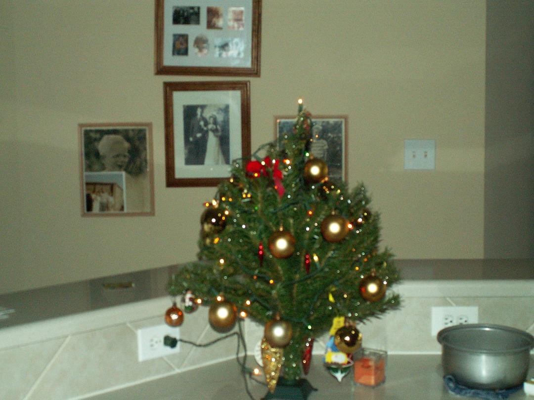 Merry Christmas to all. This little tree followed my father to the Aleutian Islands during WWII, England with my brother, South Korea, Thailand and Belgium with me and my family. It is the Traveling Tree and has shone it's
