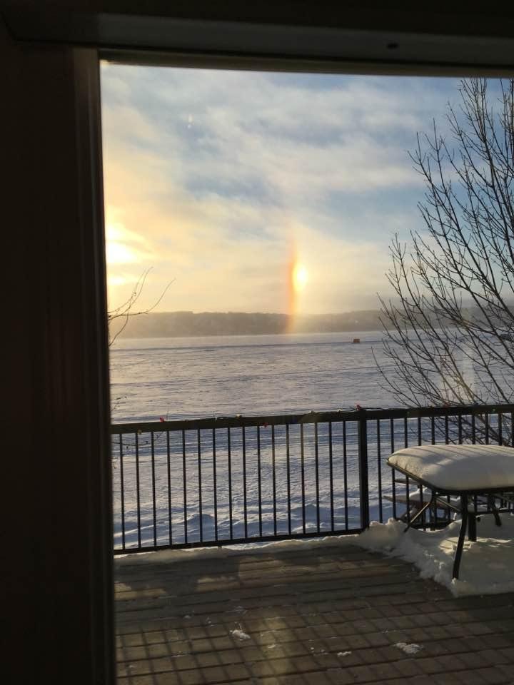 Du dog at -35C . Good old Canadian Winter