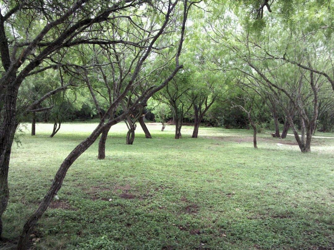 South Texas has forgotten how much rain agrees with it.