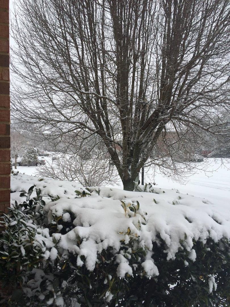 Pam Sands' album, Timeline Photos