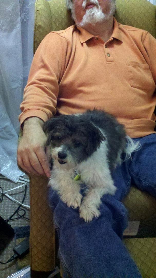 meet our new friend Lillie - she is from Anderson animal shelter. we got her about 10 days ago, but didn't want to post until she met our granddaughter Riley. Lillie is 10 yrs old, and we share a few ailments, but she has