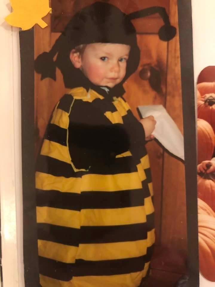 Killer bees spotted out west!