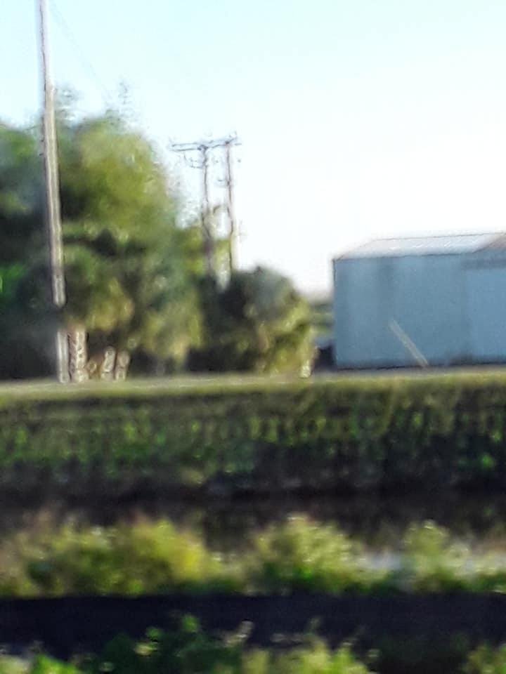 Casey Michaels' album, Mobile uploads