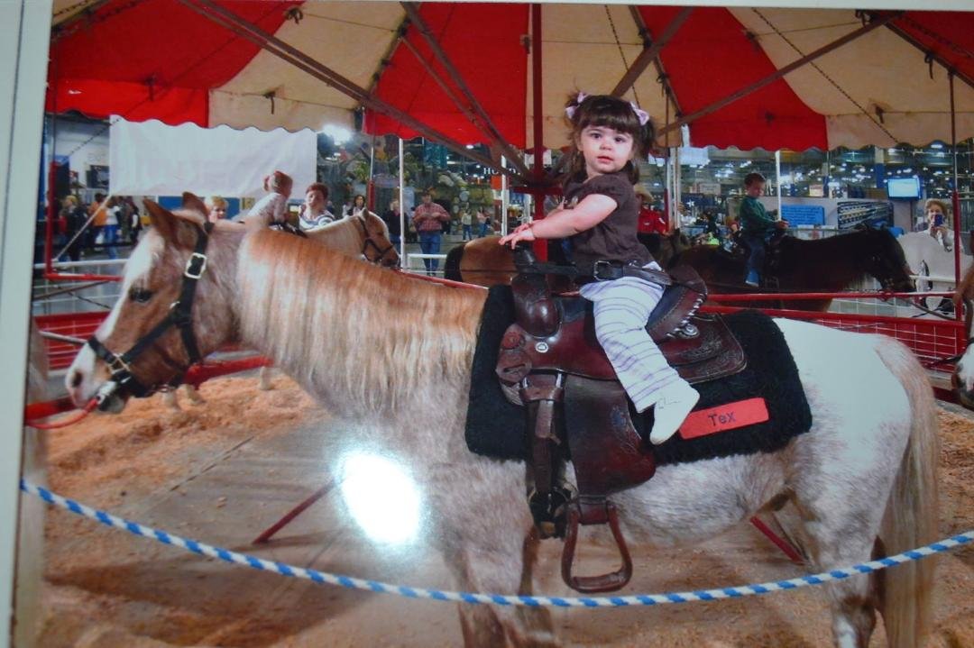 Houston rodeo