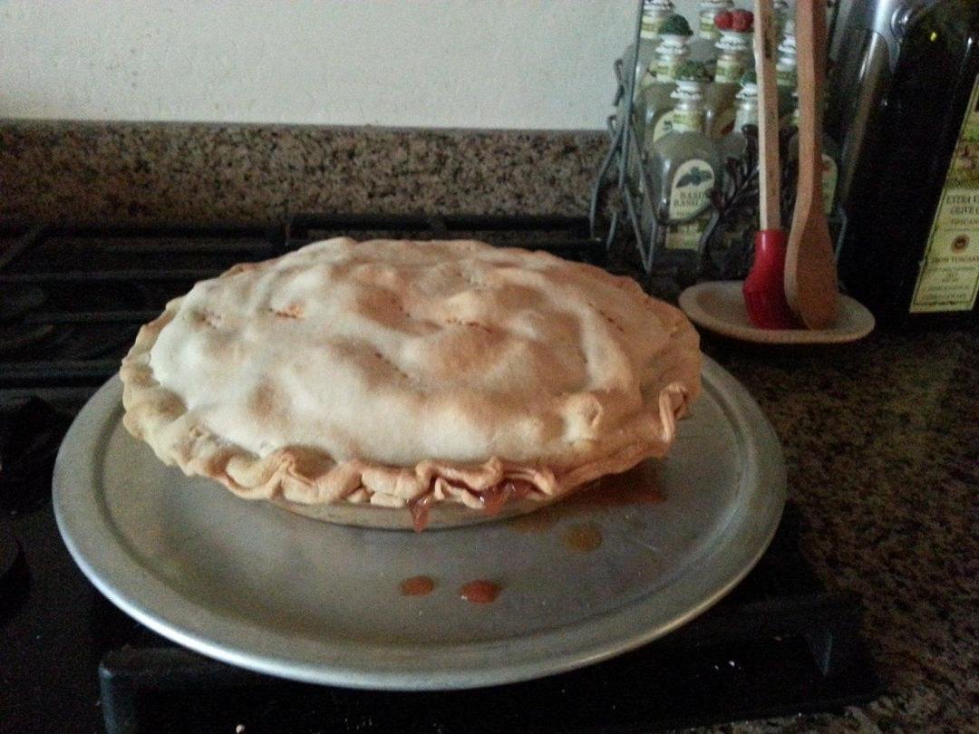 Yummmm, Home made apple pie from our apple trees.