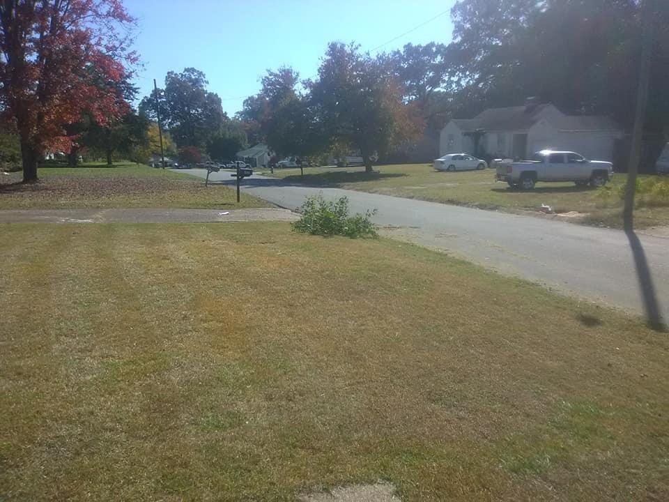 Cut grass today
