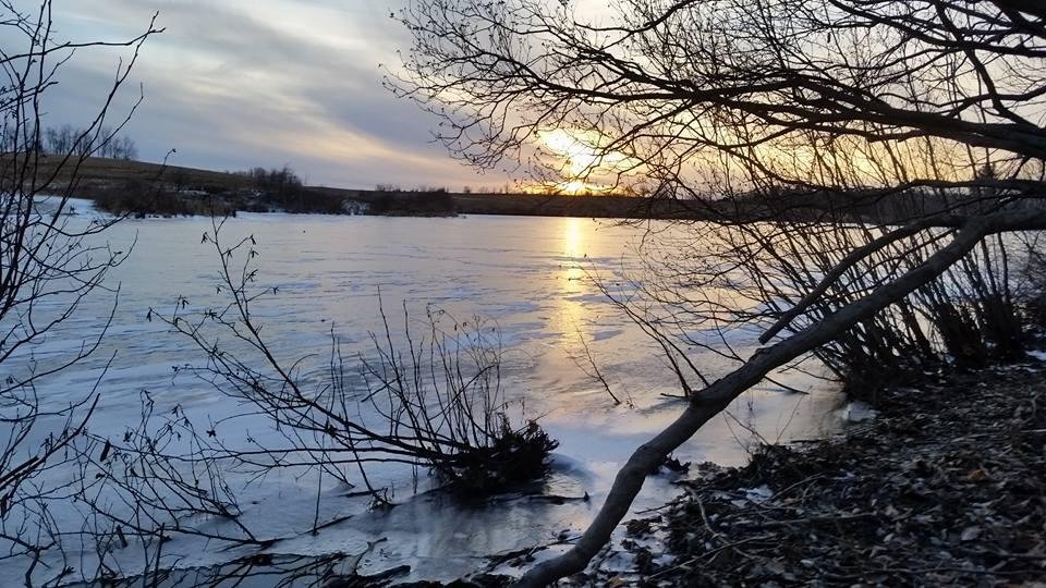 Warren Kohl's album, Mobile Uploads