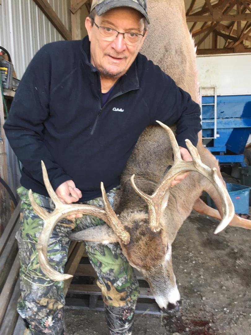 Bow buck 2019