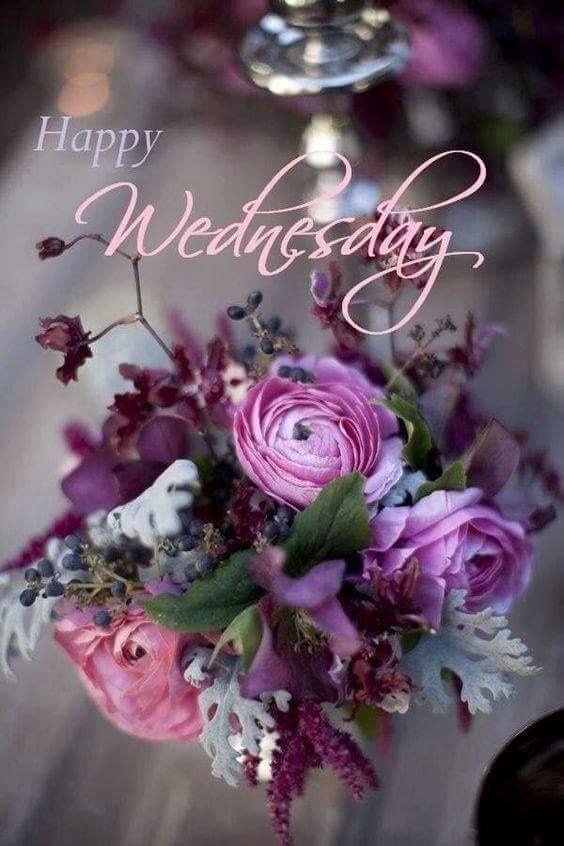 It's Wednesday and the elections are over thank goodness. I am so glad that we aren't going to have to listen to any more political ads. The people have spoken all over the country. Also, it's sure cooler this morning. Old