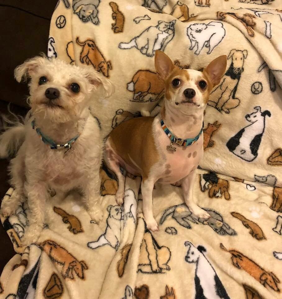 My boys
