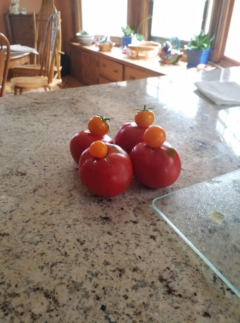 Nothing better than the smell and taste of homegrown tomatoes. Yum tacos tonight