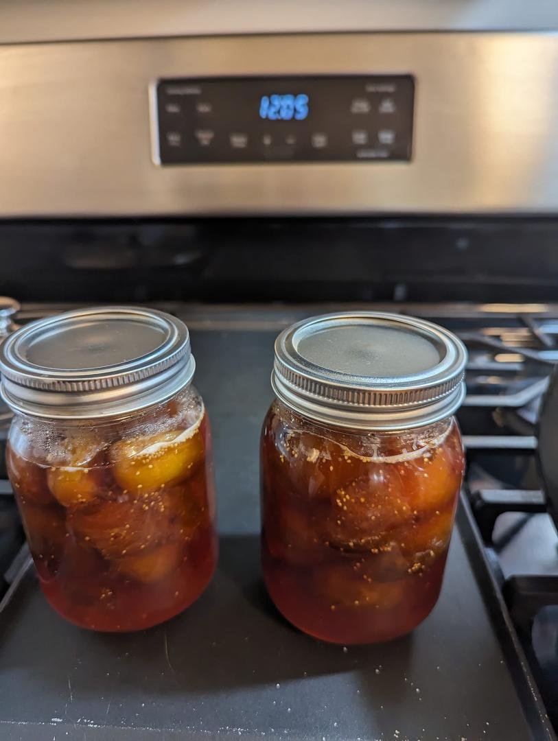 Hurray, fig preserves...I can't eat them but I saved the honey. Hopefully everyone enjoys them.