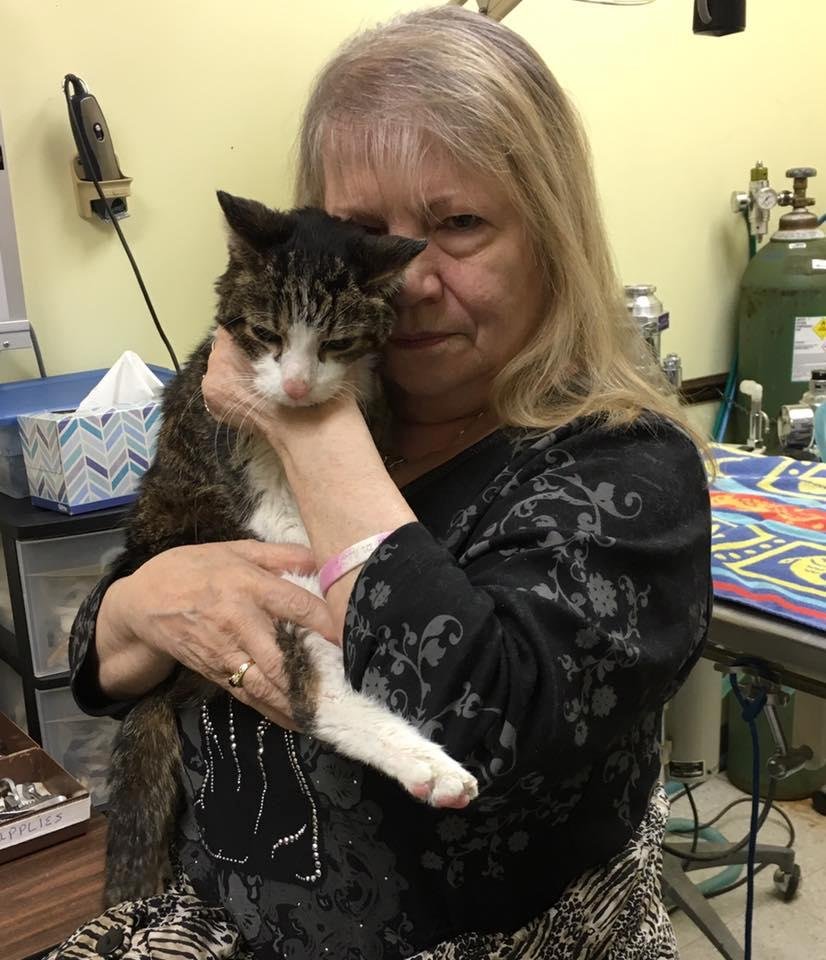 Today, the Rainbow Bridge welcomed another pet.
I knew this day was getting closer and closer, but now that it has arrived, I realize I am not ready. But, then again, I doubt that those of us who love our pets like family,