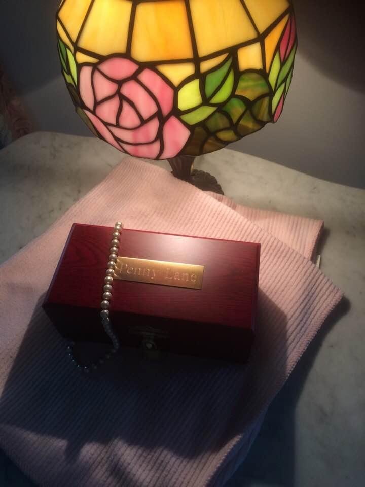 Today would have been Penny’s 17th Birthday. She always wore her birthstone pearls when she went out for ice cream on her birthday. Her pink blanket was with her from the day we picked her up in Maryland to her last day.