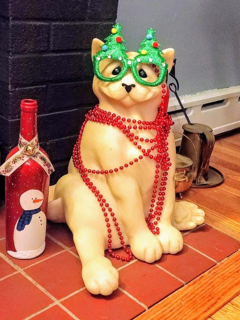 Ceasar is in the Christmas spirit too!