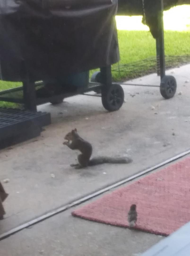 More visitors today!