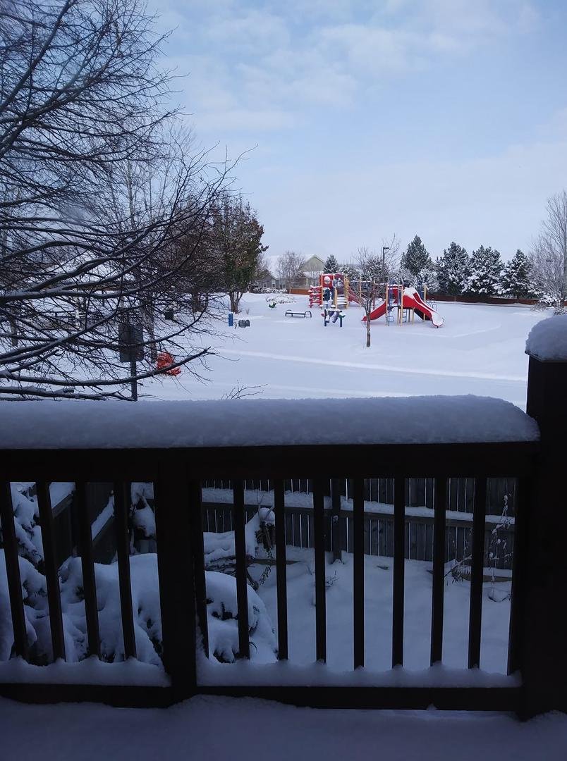 Snowy day today