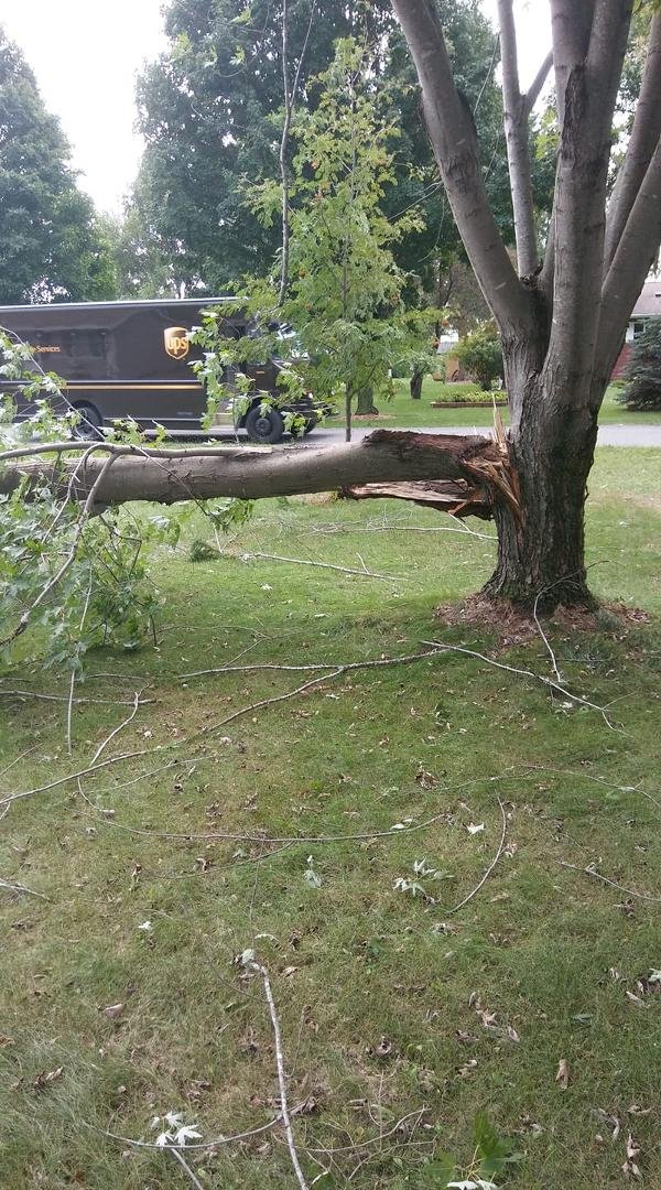 Front yard