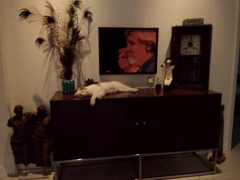 Think he is  comfortable
