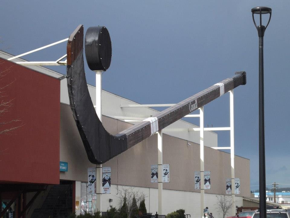 Do I Love Hockey. Hawk yes!!!