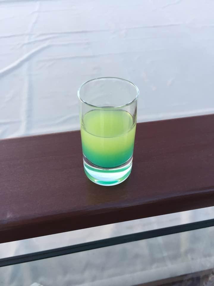 Celebrating going thru the the last lock with Schnapps. "Lock Shot".