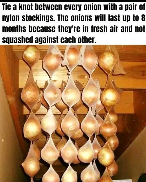 John Finch's album, Timeline photos