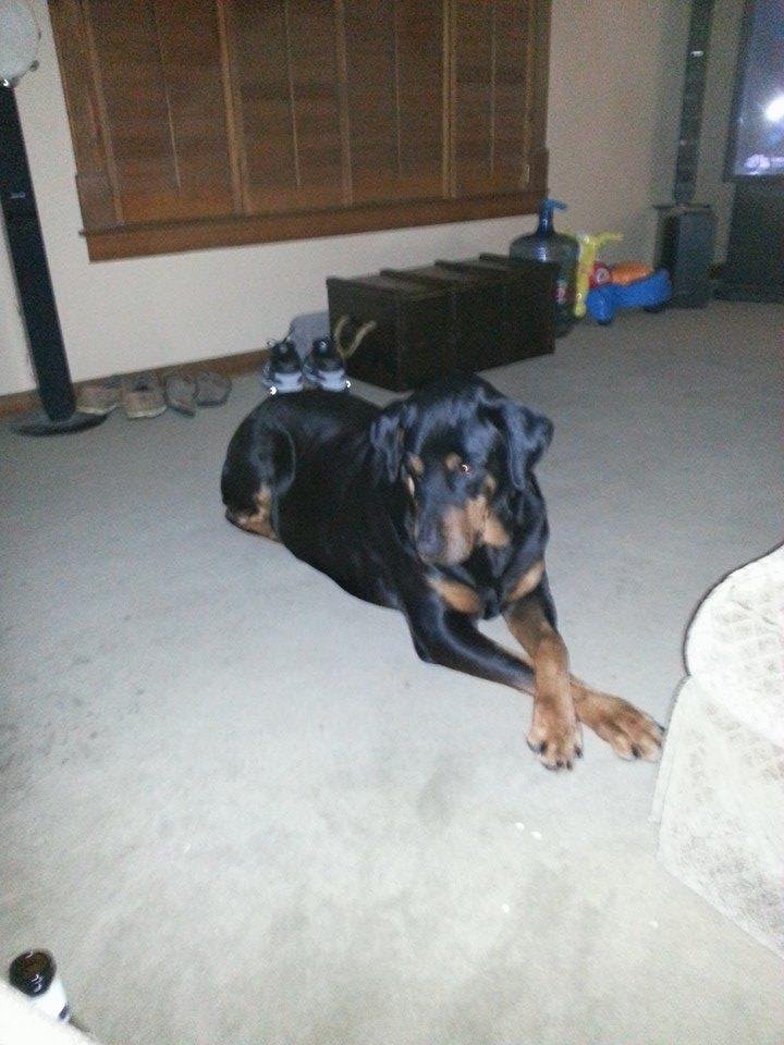 The King striking a pose.