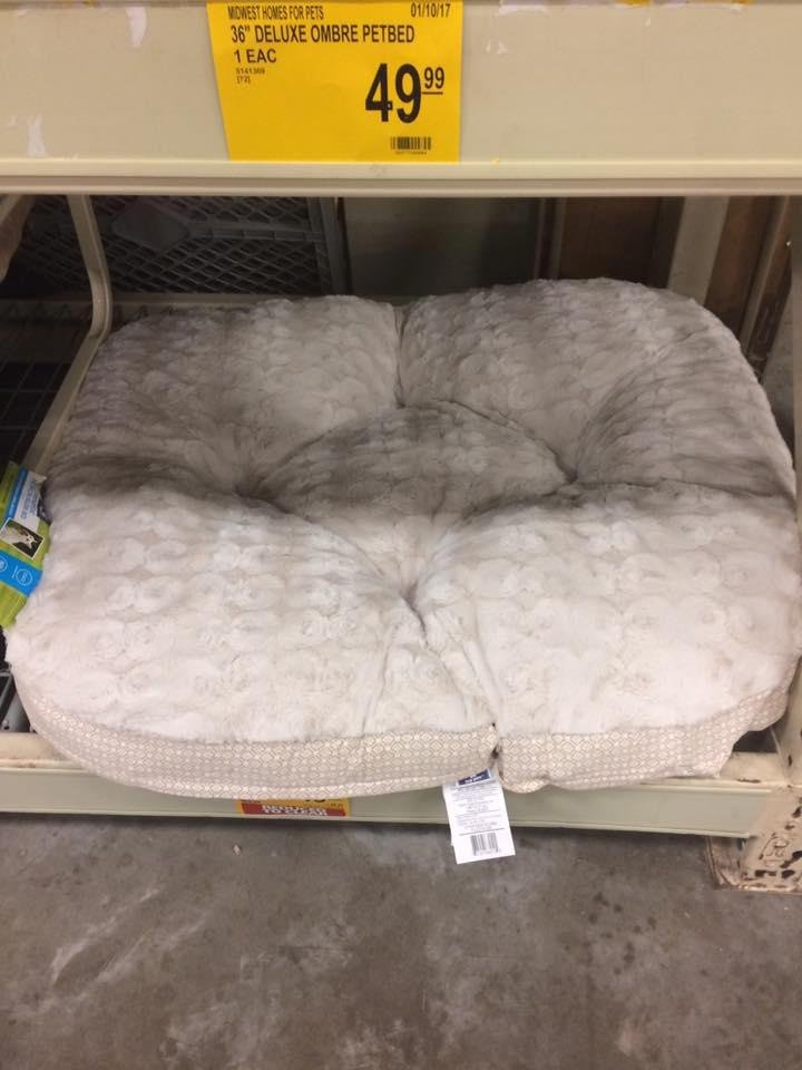 emma gets a new bed !!