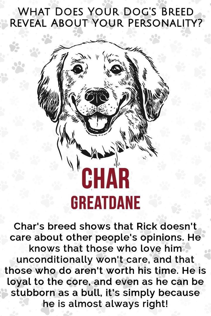 Rick Kassebaum's album, Timeline Photos