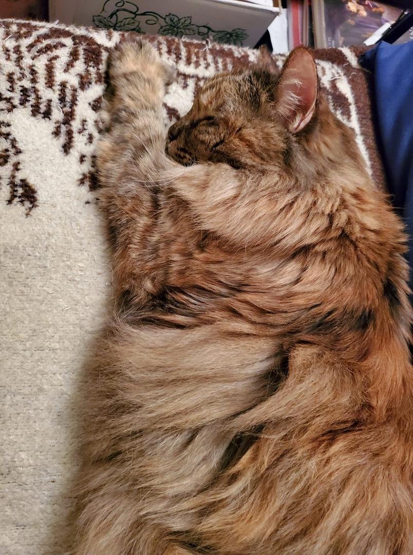 Pumpkin. A happy and content baby girl.