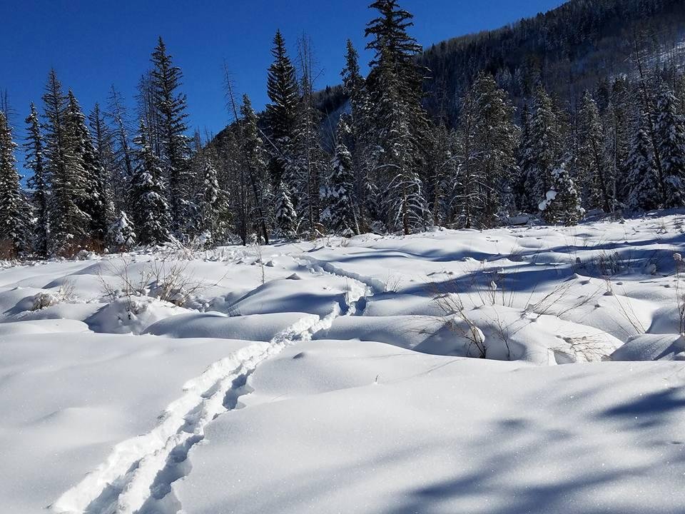 Making tracks