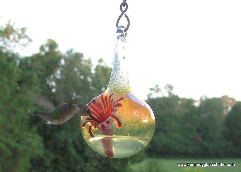 We had more hummers this year then any other