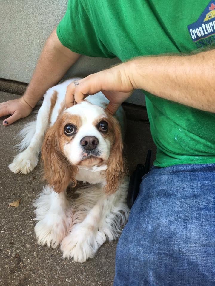 My late fur baby at day care