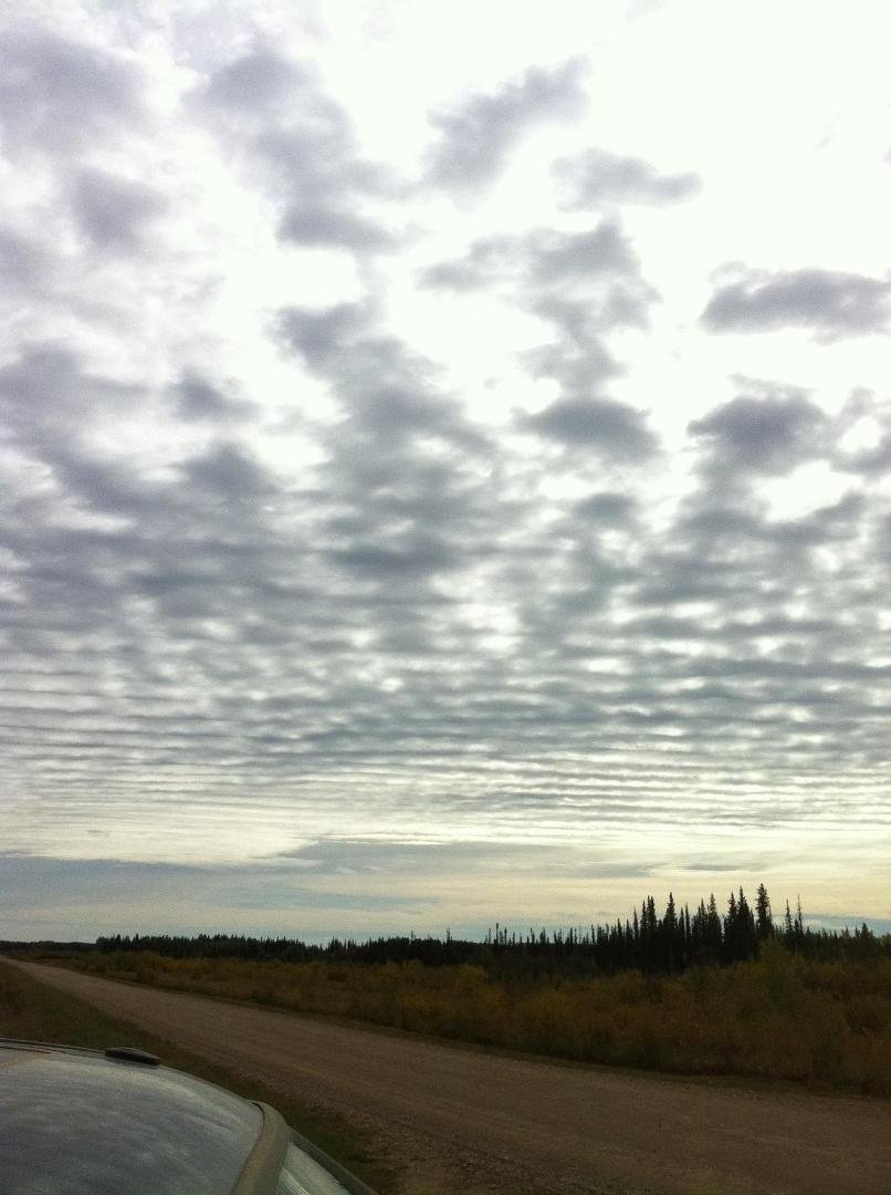 Bluesky clouds