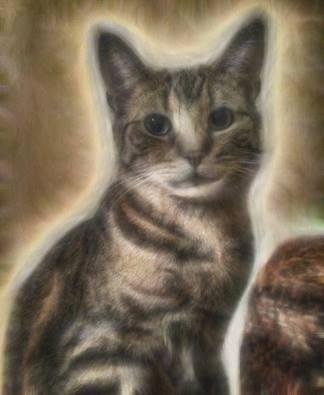 fooling around with a plug-in called fractalius filter.