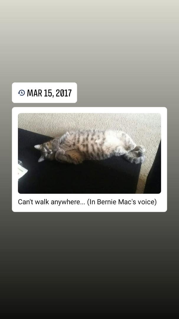 Travis Perry's album, Mobile Uploads