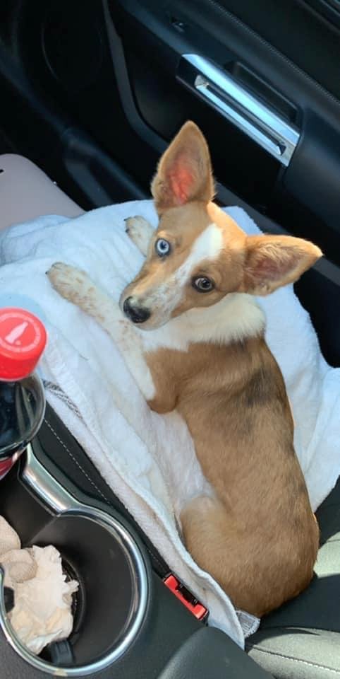 This little one was found off of Old Houston road.