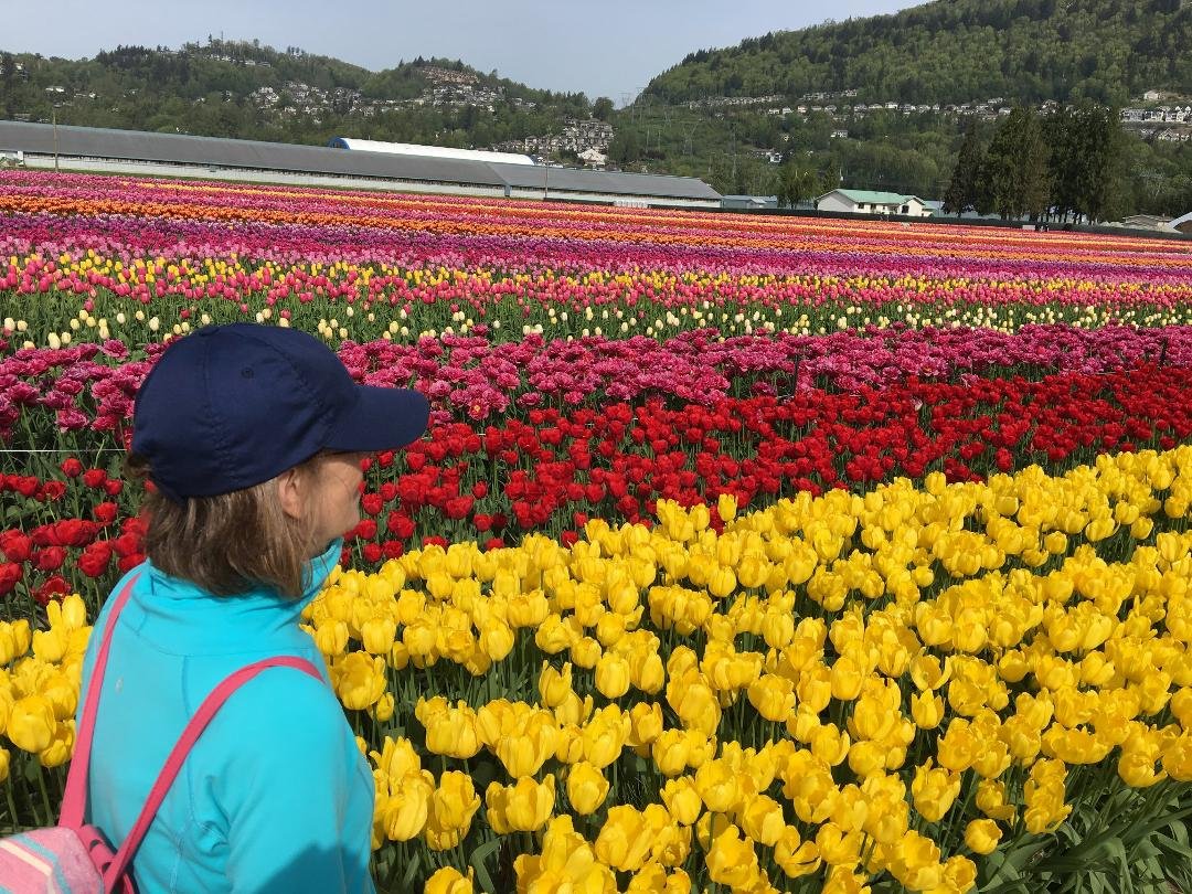 Had a wonderful time at the Abbotsford Tulip Festival.