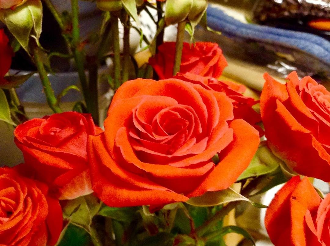 Jean Stair's album, Timeline Photos